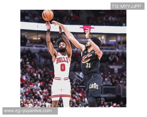 2015年11月勇士与灰熊激战回顾球场上的策略与精彩瞬间分析 2015年11月勇士与灰熊激战回顾球场上的策略与精彩瞬间分析