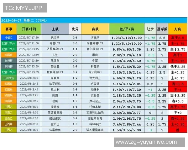 南京乒乓球队技术表现的数据分析与发展趋势研究 南京乒乓球队技术表现的数据分析与发展趋势研究