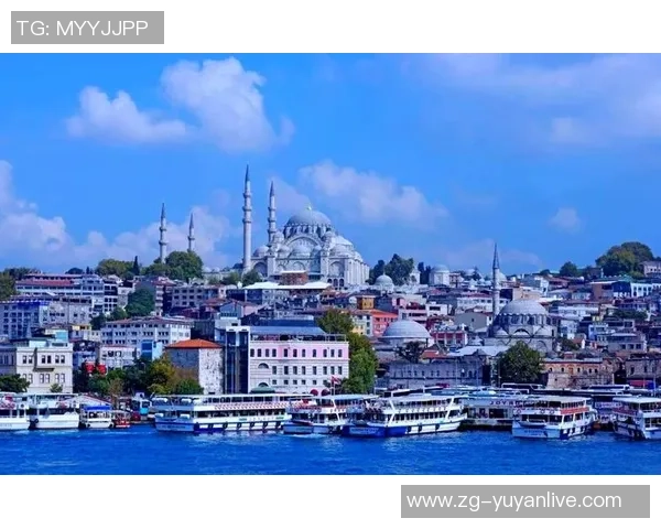 巴黎与伊斯坦堡的文化交融与历史碰撞之旅 巴黎与伊斯坦堡的文化交融与历史碰撞之旅